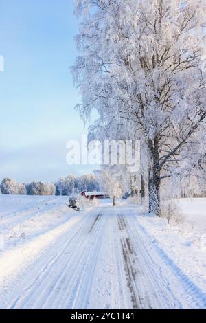 Verschneite Winterstraße mit Raureif auf den Bäumen im Winter Stockfoto