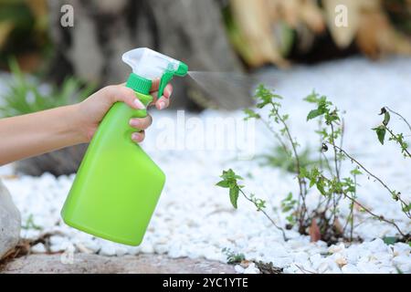 Nahaufnahme einer Frau, die Insektizid über beschädigte Pflanzen sprüht Stockfoto