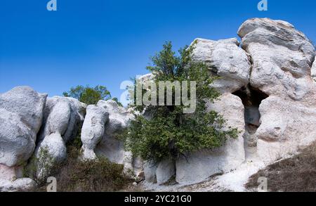 Versteinerte Hochzeitsteinformation in Bulgarien Stockfoto