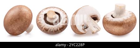 Champignons mit braunem Verschluss oder agaricus-Pilze, isoliert auf weißem Hintergrund. Nahaufnahme. Stockfoto