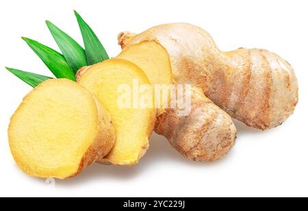 Frische Ingwerwurzel und Ingwerscheiben mit isolierten Blättern auf weißem Hintergrund. Stockfoto