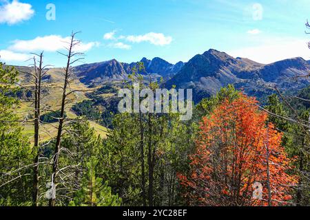 Herbst in Andorra in den Pyrenäen bei Les Bordes d'Envalira Stockfoto