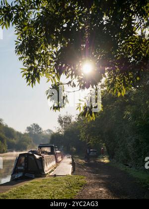 Abingdon-on-Thames behauptet, die älteste Stadt Englands zu sein. Und die Themse fließt durch ihr Herz. In dieser idyllischen Szene sehen wir an einem Spätsommermorgen einen erholsamen Blick auf den Fluss vom Abingdon Weir flussaufwärts nach Oxford Stockfoto