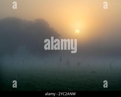 Nebliger Herbstsonnenaufgang über Rye Farm Fields, Abingdon. Das Hotel liegt direkt neben der Themse, so dass Nebel vom Fluss wundervolle Herbstsonnenaufgänge erzeugen kann, wenn der Fluss dampft Stockfoto