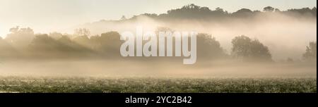 Panoramablick auf einen nebeligen Herbstsonnenaufgang über Rye Farm Fields, Abingdon. Das Hotel liegt direkt neben der Themse, so dass Nebel vom Fluss wundervolle Herbstsonnenaufgänge erzeugen kann, wenn der Fluss dampft Stockfoto