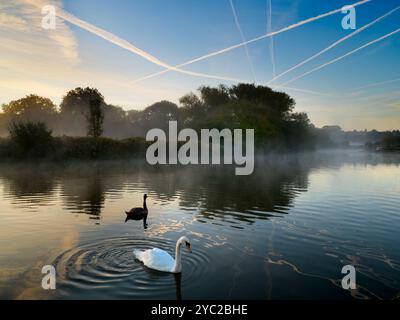 Schwäne bei Sonnenaufgang auf der Themse bei Radley. Leuchtendes erstes Licht über einem wunderschönen Abschnitt der Themse am Radley Boathouse. Das 1921 gegründete Bootshaus dient seit mehr als einem Jahrhundert für Radley College und lokale Ruderfreunde. Schwäne wie diesen an einem nebeligen Herbstmorgen zu sehen, erinnert mich unwiderstehlich an den Schwan von Tuonela, einen mystischen Schwan, der für immer in der Unterwelt schwimmt im großen finnischen mythologischen Epos Kalevala Vielleicht bin ich es nur? Stockfoto