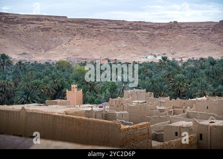 Kleine Stadt und Moschee in die riesige Tafilalet-Oase in Marokko, Nordafrika. Die größte Oase der Welt. Der Ziz-Fluss mitten in der Wüste Stockfoto