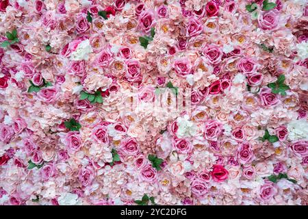 Abstrakte Ansicht von rosa Rosen nützlicher Hintergrund Stockfoto