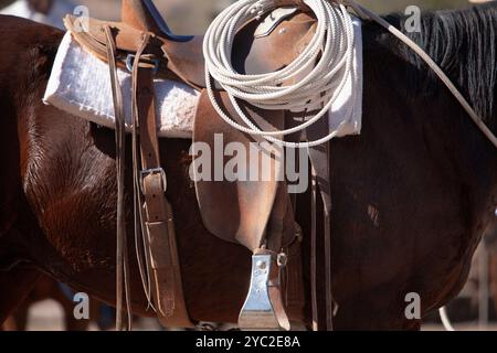 Profilseitenansicht eines Pferdes mit Sattelbügel und Seil Stockfoto
