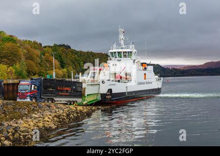 Lochaline, Schottland, Großbritannien, 16. Oktober 2024. Die CalMac Fähre, Lochinvar, dockt am abgelegenen Hafen von Lochaline, Scottish Highlands und Viehtransporter Stockfoto