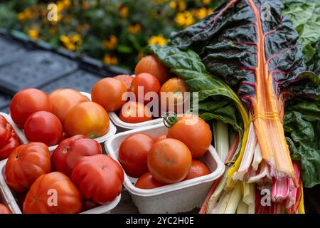 Frische Tomaten und Mangold auf einem Bauernmarkt Stockfoto