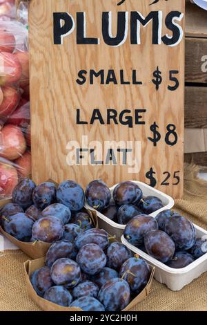 Frische Pflaumen in Kartons zum Verkauf auf einem Bauernmarkt mit Preisschild Stockfoto