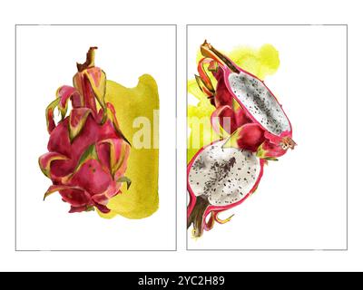 Pitaya-Scheiben, hellrosa Aquarellfleck. Handgezeichnete Aquarellillustration der Reifen exotischen Drachenfrucht für Hintergrund, Karte, Design, Druck, Invit Stockfoto