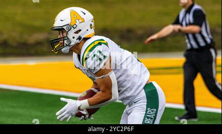 Edmonton, Kanada. Oktober 2024. Die Golden Bears der University of Alberta Running Back Alan Xiang fängt einen Punt und zieht in Canwest Football Action auf das Feld. University of Alberta Golden Bears 37 - 38 University of Manitoba Bisons (Foto: Ron Palmer/SOPA Images/SIPA USA) Credit: SIPA USA/Alamy Live News Stockfoto