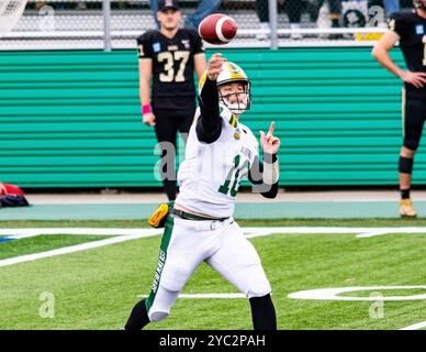 Edmonton, Kanada. Oktober 2024. Cade Labrecque, Quarterback der University of Alberta Golden Bears, wirft einen Pass gegen die University of Manitoba. University of Alberta Golden Bears 37 - 38 University of Manitoba Bisons (Foto: Ron Palmer/SOPA Images/SIPA USA) Credit: SIPA USA/Alamy Live News Stockfoto