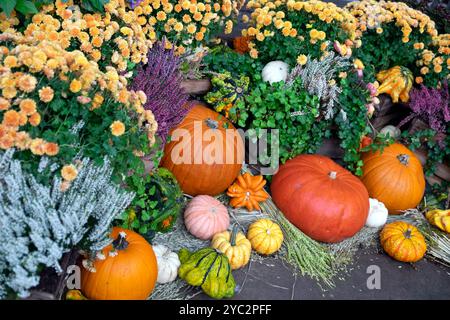 Herbstblumen Blumen Kürbisse auf dem Covent Garden Market im Zentrum von London WC2 England Großbritannien Großbritannien Oktober 2024 KATHY DEWITT Stockfoto