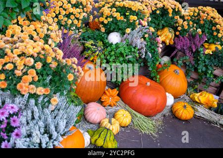 Herbst Blumen Kürbis Kürbisse Kürbisse Kürbisse Anzeige Covent Garden Market im Zentrum von London WC2 England Großbritannien Großbritannien Oktober 2024 KATHY DEWITT Stockfoto