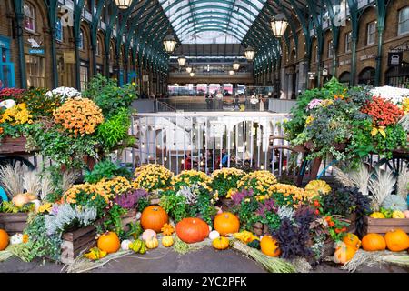 Herbstblumen Blumenkürbis-Kürbis-Ausstellung auf dem Covent Garden Market im Zentrum von London WC2 England Großbritannien Großbritannien Oktober 2024 KATHY DEWITT Stockfoto