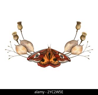 Schmetterlinge, Lunarien, Mohnzwiebeln Herbst elegante botanische Komposition. Stilvolle gemütliche Aquarellillustration auf weißem Hintergrund. Einladung, saisonal Stockfoto