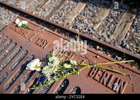 Blumen am Mahnmal Gleis 17 zur Erinnerung an die Deportation von Juden mit der Deutschen Reichsbahn vom Bahnhof Grunewald. / Blumen am Gleis 17-Denkmal zum Gedenken an die Deportation von Juden auf der Deutschen Reichsbahn vom Bahnhof Grunewald. Schnappschuss-Fotografie/K.M.Krause *** Blumen am Gleis-17-Denkmal zum Gedenken an die Deportation von Juden auf der Deutschen Reichsbahn vom Bahnhof Grunewald Schnappschuss-Fotografie K M Krause Stockfoto