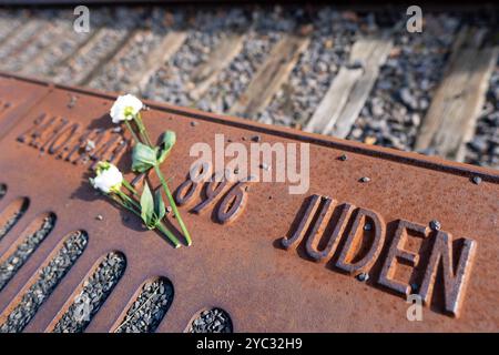 Blumen am Mahnmal Gleis 17 zur Erinnerung an die Deportation von Juden mit der Deutschen Reichsbahn vom Bahnhof Grunewald. / Blumen am Gleis 17-Denkmal zum Gedenken an die Deportation von Juden auf der Deutschen Reichsbahn vom Bahnhof Grunewald. Schnappschuss-Fotografie/K.M.Krause *** Blumen am Gleis-17-Denkmal zum Gedenken an die Deportation von Juden auf der Deutschen Reichsbahn vom Bahnhof Grunewald Schnappschuss-Fotografie K M Krause Stockfoto