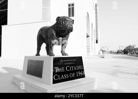 Bulldog-Maskottchen-Statue vor dem Johnson Hagood Stadium im Citadel, Charleston, South Carolina, USA. Stockfoto