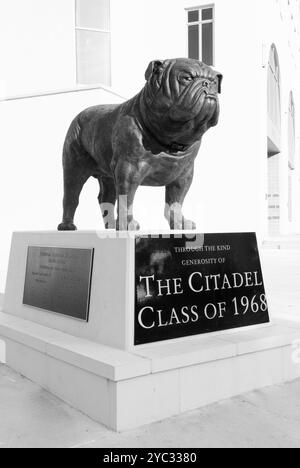 Bulldog-Maskottchen-Statue vor dem Johnson Hagood Stadium im Citadel, Charleston, South Carolina, USA. Stockfoto