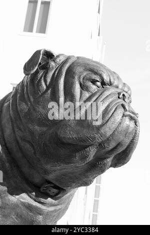 Bulldog-Maskottchen-Statue vor dem Johnson Hagood Stadium im Citadel, Charleston, South Carolina, USA. Stockfoto