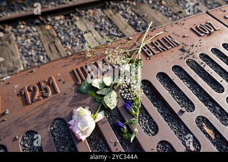 Blumen am Mahnmal Gleis 17 zur Erinnerung an die Deportation von Juden mit der Deutschen Reichsbahn vom Bahnhof Grunewald. / Blumen am Gleis 17-Denkmal zum Gedenken an die Deportation von Juden auf der Deutschen Reichsbahn vom Bahnhof Grunewald. Schnappschuss-Fotografie/K.M.Krause *** Blumen am Gleis-17-Denkmal zum Gedenken an die Deportation von Juden auf der Deutschen Reichsbahn vom Bahnhof Grunewald Schnappschuss-Fotografie K M Krause Stockfoto