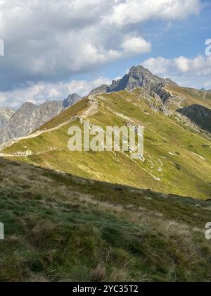 Ein großer Berg, der mit einer Menge üppig grünem Gras bedeckt ist Stockfoto