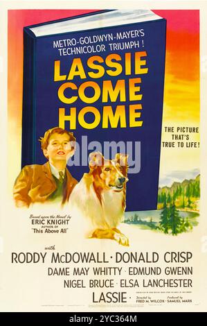 Lassie Come Home - Vintage-Filmplakat, 1943, MGM - Roddy McDowall, Donald Crisp Stockfoto
