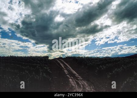 Ländliche Landschaft in der Nähe von Logrono, La Rioja, Spanien, im Sommer Stockfoto