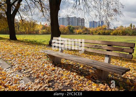 Bänke zum Ausruhen im Herbstpark. Genießen Sie die Schönheit des Herbstes bei gutem Wetter Stockfoto