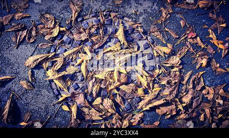 Herbstlaub über Mannloch-Abdeckung Stockfoto