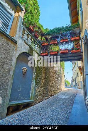 Der Fontana del Fauno (Fontana del Fauno) und die Skybridge mit Pflanzen in Töpfen auf der schmalen Via alla Rocca, Citta Alta, Bergamo, Italien Stockfoto