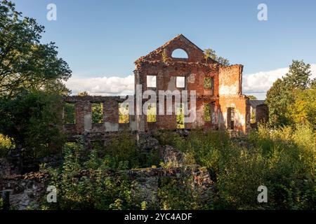 Ein Backsteinbau liegt in Ruinen, überholt von Grün unter klarem Himmel. Stockfoto