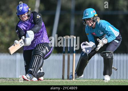 Sydney, Australien. Oktober 2024. Lizelle Lee von Hobart Hurricanes spielt beim T20 Spring Challenge Final Spiel zwischen Brisbane Heat und Hobart Hurricanes in Cricket Central einen Schuss. Hobart Hurricanes gewann die erste Ausgabe der T20 Spring Challenge, ein neues inländisches Cricket-Turnier für Frauen im australischen Cricket, indem er Brisbane Heat im letzten Ball des Spiels mit 5 Wickets besiegte. Brisbane Hitze: 133/9, Hobart Hurricanes: 134/5. (Foto: Ayush Kumar/SOPA Images/SIPA USA) Credit: SIPA USA/Alamy Live News Stockfoto