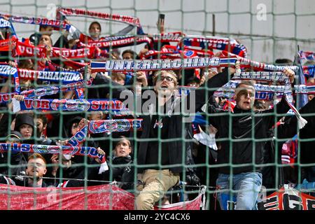 Unterhaching, Deutschland. Oktober 2024. Unterhachinger Fans zeigen ihren Schale, 20.10.2024, Unterhaching (Deutschland), Fussball, 3. LIGA, SPVGG UNTERHACHING - TSV 1860 MÜNCHEN, DFB/DFL-VORSCHRIFTEN VERBIETEN DIE VERWENDUNG VON FOTOGRAFIEN ALS BILDSEQUENZEN UND/ODER QUASI-VIDEO. Quelle: dpa/Alamy Live News Stockfoto