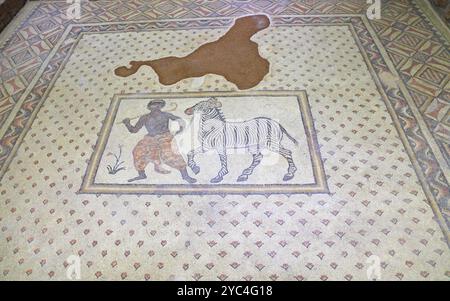 Haleplibahce römische Villa Mosaiken im Museum, Sanliurfa, Süd, Ost, Türkei Stockfoto