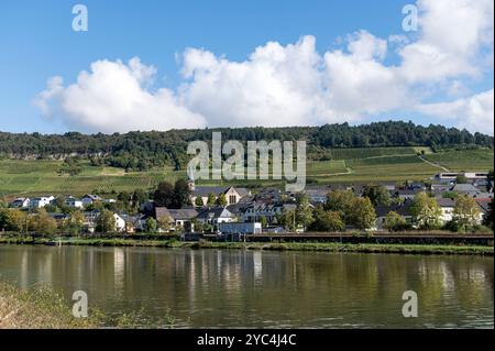 Ahn Luxemburg / Nittel Deutschland 2. Oktober 2024 Reihen und Reben bedecken die Hügel um die Mosel jenseits des Dorfes Nittel am deutschen Ufer des Flusses Blau, Himmel, Wolken, Wein, Weinberg, Weinberge, Produkte, Produkte, Trinken, Landwirtschaft, Landwirtschaft, Winzer, Winzer, Winzer, Wijn, Wijngaarde, Trauben, Trauben, Trauben, Trauben, Trauben, Lokal, Wein, Weinberg, Reben, Produkte, Produkt, Trinken, Landwirtschaft, Landwirtschaft, Winzer, Winzer, Wijn, Wijngaarde, Trauben, Traube, Haufen, Produktion, lokal, Stockfoto