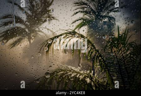 Fällt nach Regen auf das Glas. Herbstwetter draußen. Stockfoto