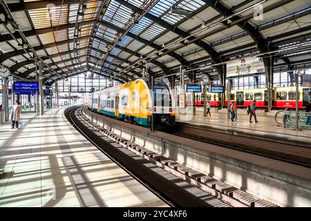 Eisenbahnverkehr am Bahnhof Berlin-Friedrichstraße. RegionalExpress Zug der ODEG, RE1 Ziel Brandenburg HBF. DEU, Deutschland, Berlin, 20.10.2024 *** Bahnverkehr am Bahnhof Berlin Friedrichstraße Regionalexpress der ODEG, RE1 Richtung Brandenburg HBF DEU, Deutschland, Berlin, 20 10 2024 Stockfoto