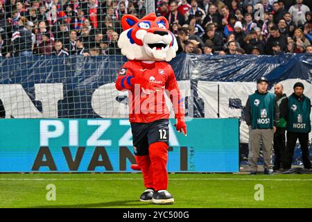 Unterhaching, Deutschland. Oktober 2024. das Unterhachinger Maskottchen FONSI, 20.10.2024, Unterhaching (Deutschland), Fussball, 3. LIGA, SPVGG UNTERHACHING - TSV 1860 MÜNCHEN, DFB/DFL-VORSCHRIFTEN VERBIETEN DIE VERWENDUNG VON FOTOGRAFIEN ALS BILDSEQUENZEN UND/ODER QUASI-VIDEO. Quelle: dpa/Alamy Live News Stockfoto