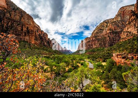 Zion National Park Emerald Pool Wanderung im Herbst 2024 Stockfoto