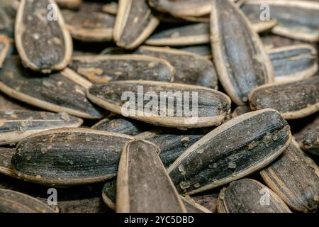 Schwarze Sonnenblumenkerne. Salzige, knusprige Sonnenblumenkerne aus nächster Nähe. Stockfoto