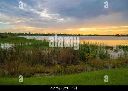 Sonnenuntergang am See im Wellen Park in North Port, Florida. Stockfoto