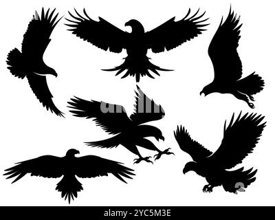 Eagle-Silhouette. Fliegende Glatzfalke. Schwarz-weißes Freiheitssymbol. Falknerjagd. Flugräuber fliegen. Wildes Tier mit Flügeln. Amerikanisches Wappenzeichen. Grafikdruck. Vektor-Fauna-Symbole gesetzt Stock Vektor