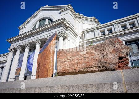 WASHINGTON DC, USA — Ein großes, etwa 200 Millionen Jahre altes versteinertes Holzexemplar aus der Triaszeit steht vor dem Smithsonian National Museum of Natural History. Das fossile Holz aus Araucarioxylon arizonicum wurde in der Nähe des Petrified Forest National Park in Arizona gefunden. Stockfoto