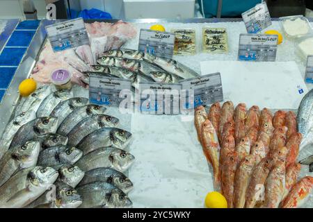 Fischtheke in Les Halles, Meze, Herault, Occitanie, Frankreich, Europa Stockfoto