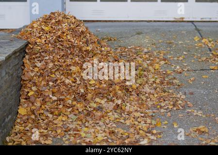 Ein Haufen trockenes Herbstlaub am Straßenrand. Reinigungs- und ökologisches Saisonarbeitskonzept. Stockfoto